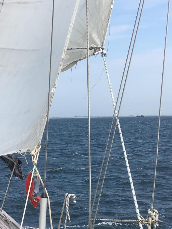 Stay Only Or Sailaway With Friends And Family Have More Fun Medemblik Exterior photo